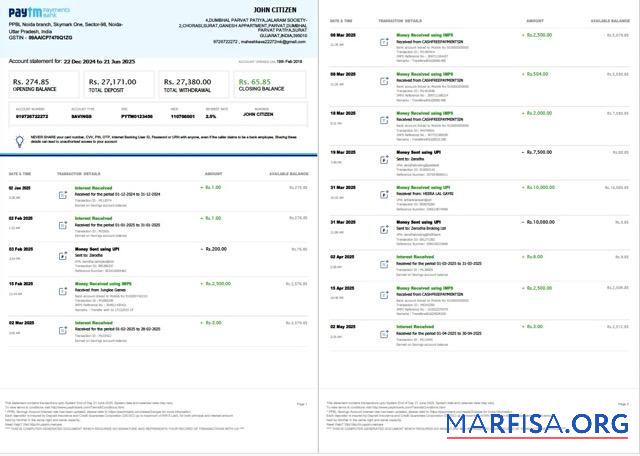 Downloadable India PayTM Payments bank account statement word 3 pages, 1 2 pages sample